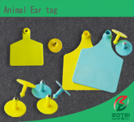 Animal Ear tag