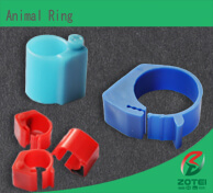Animal Ring